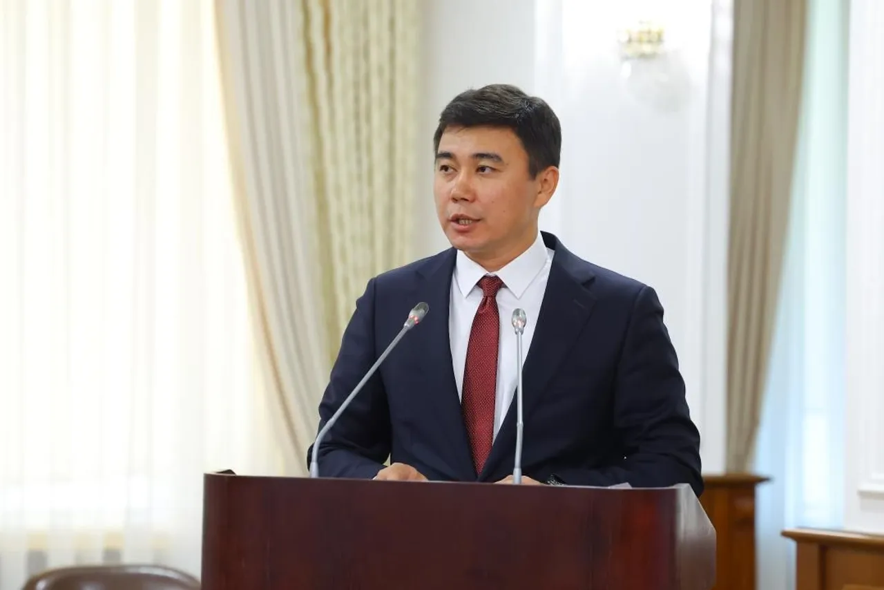 Доступное жилье в Казахстане: новые правила перепланировки и квоты для людей с инвалидностью