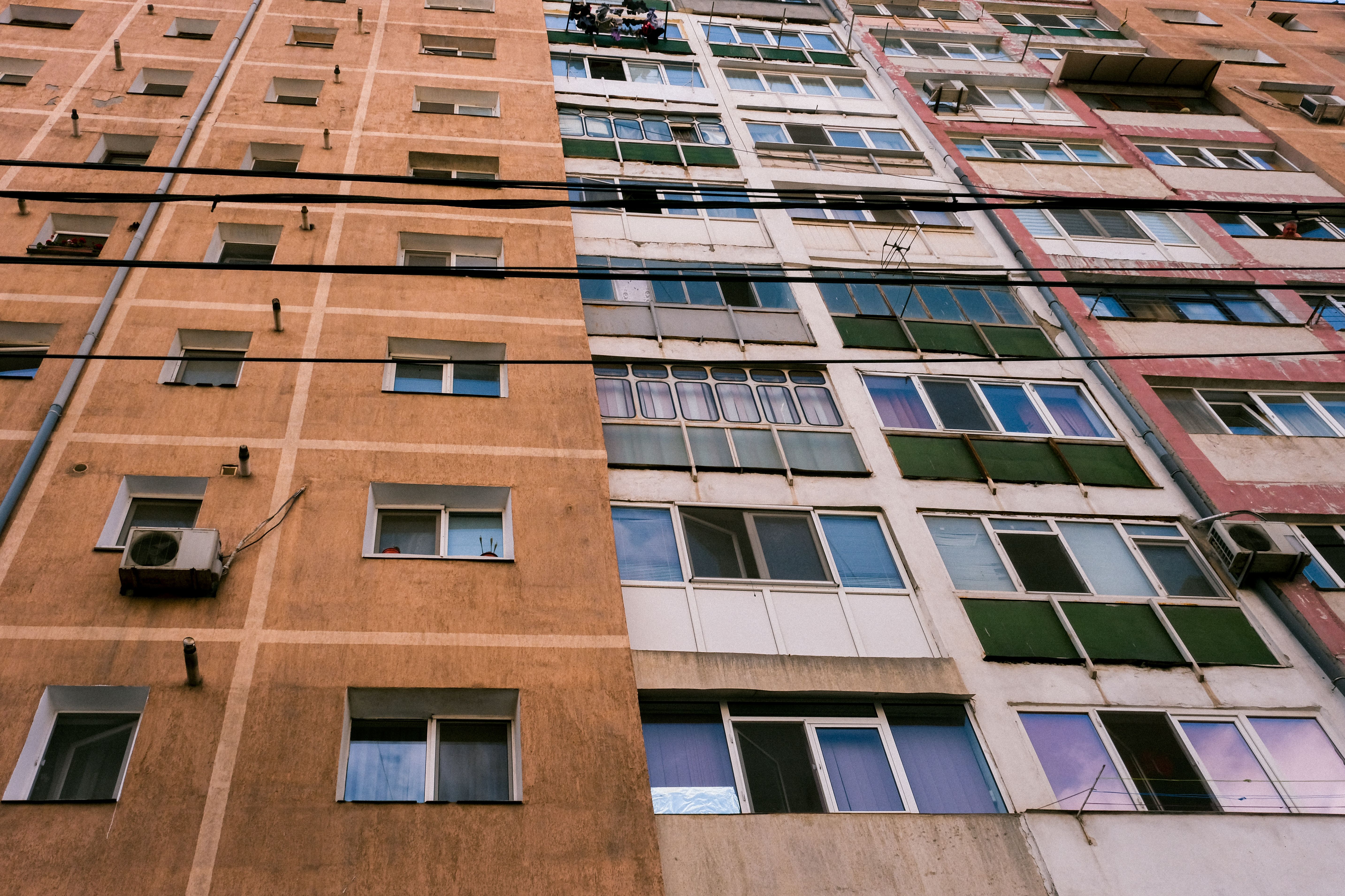 Фото: pexels/Monica Oprea