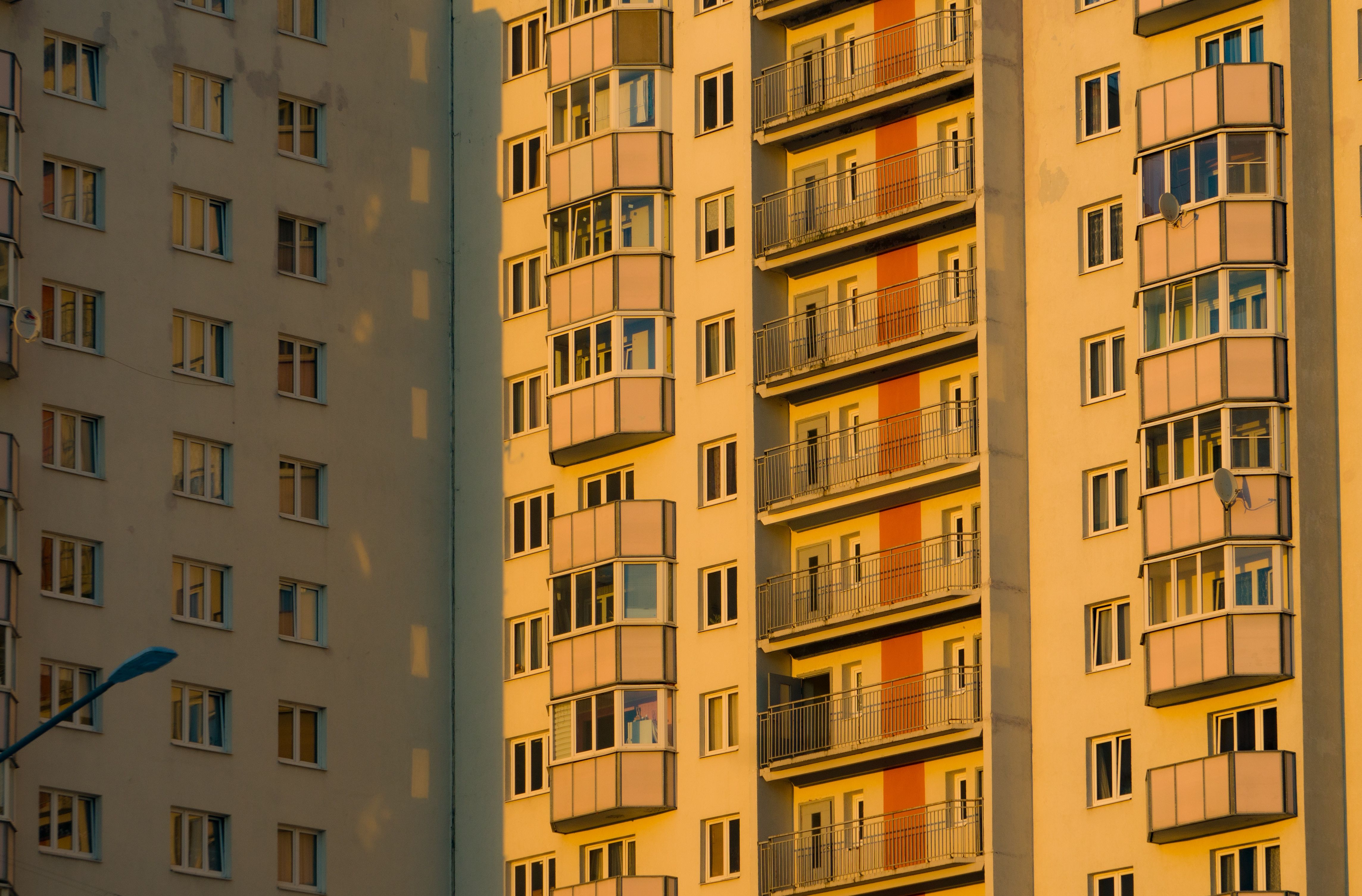 Фото: pexels/Borbotik