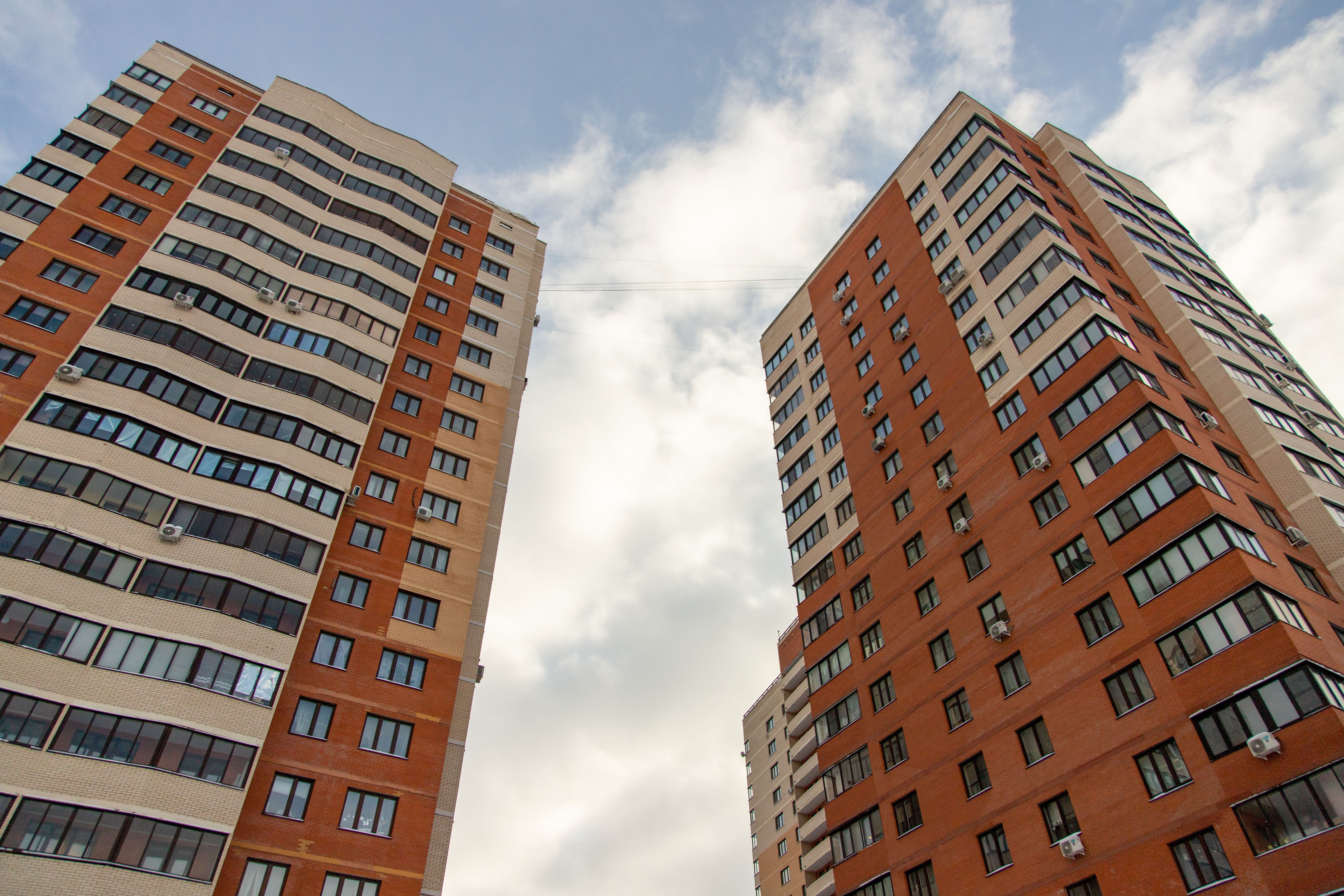 Фото: pexels/ Михаил Крамор