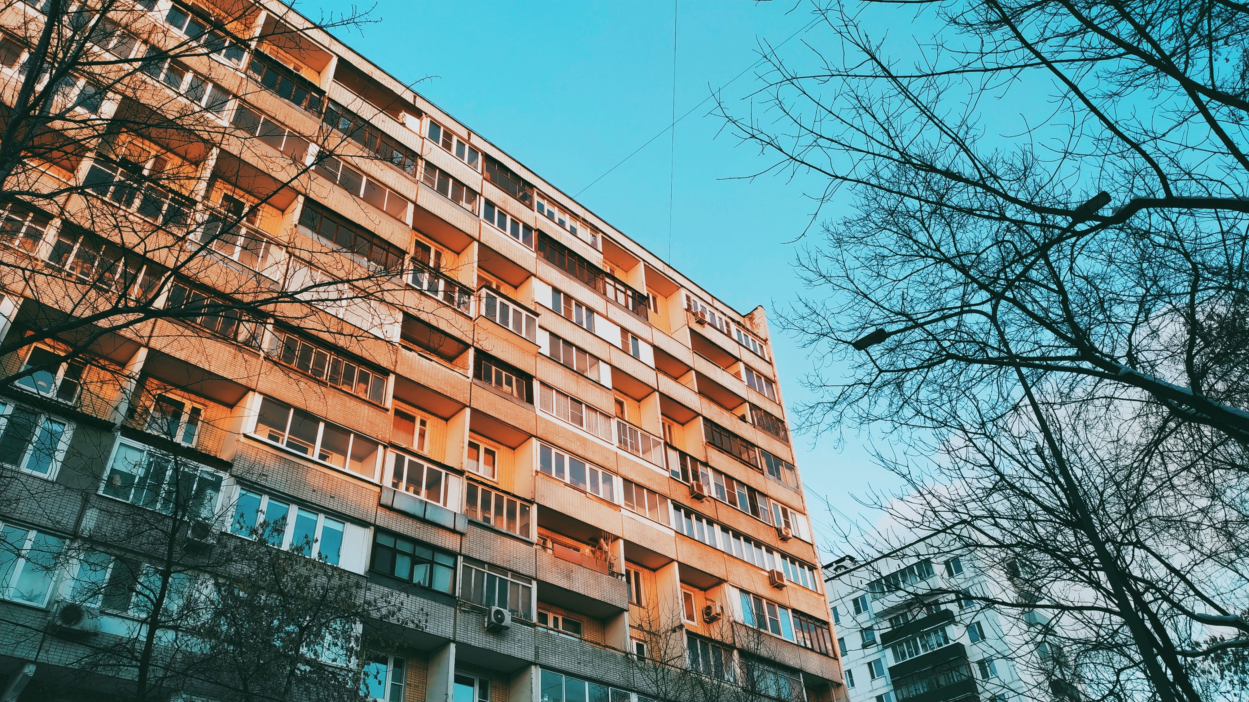 Фото: pexels/mxkrv