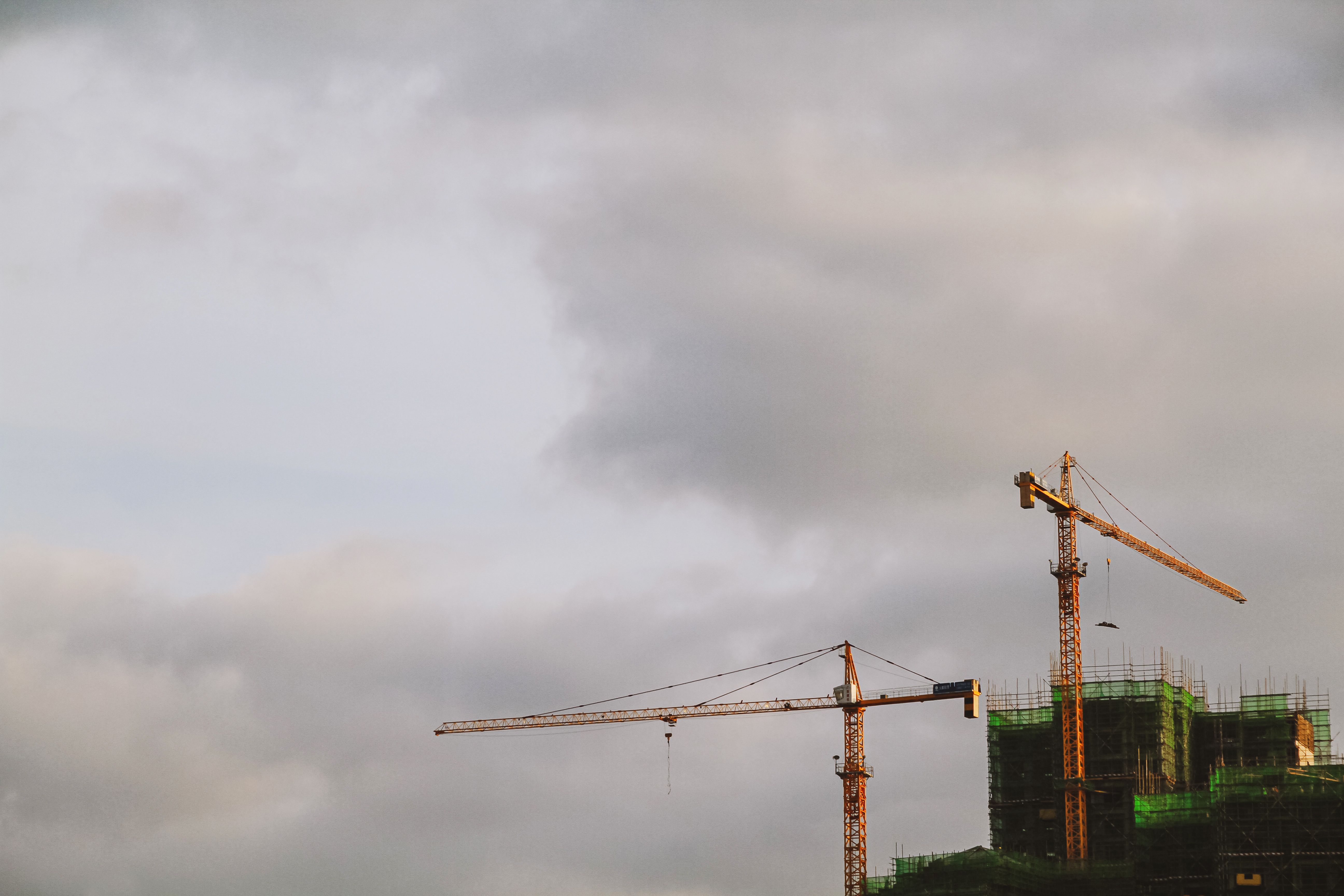 Фото: pexels/Leo Zhao