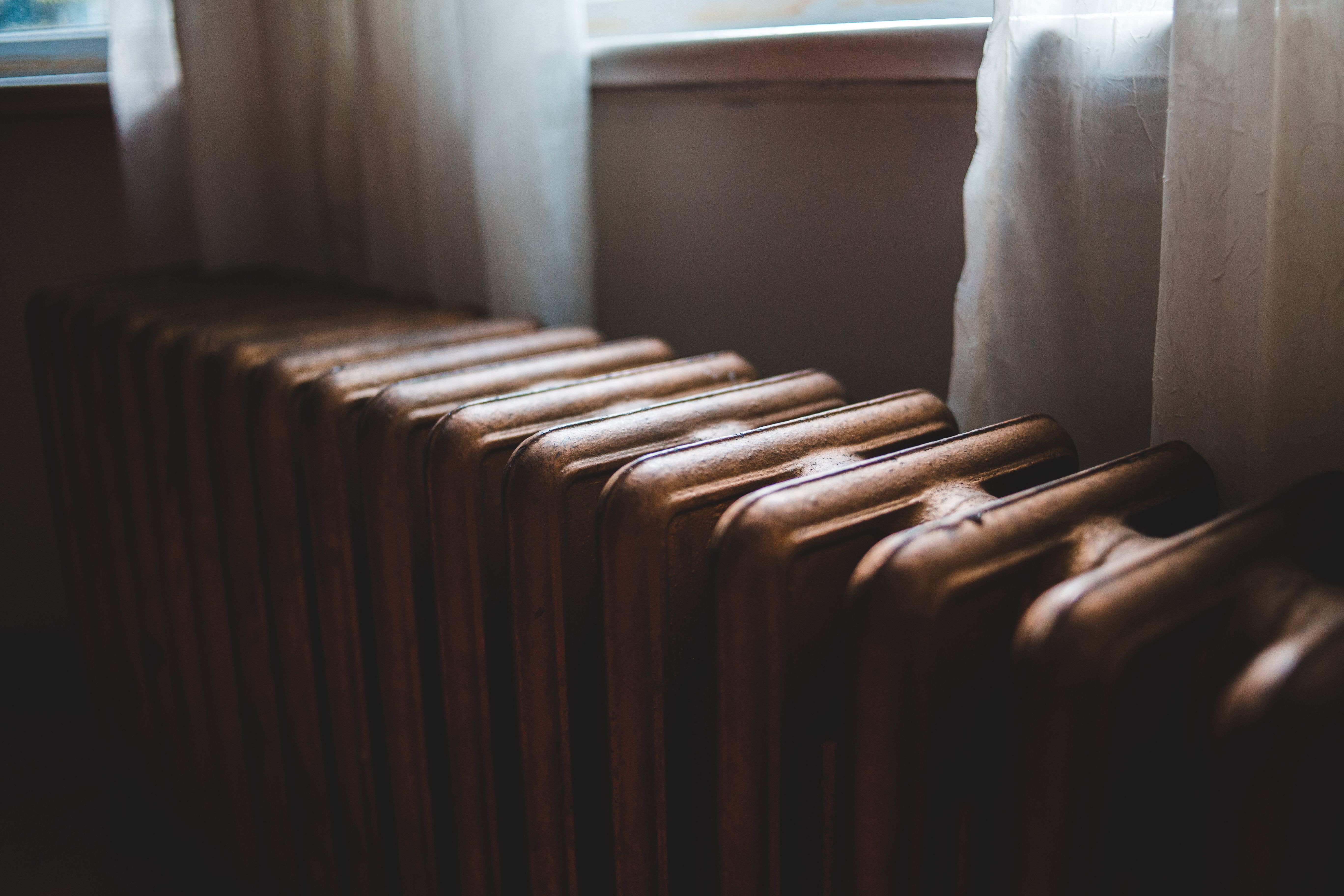 Фото: pexels