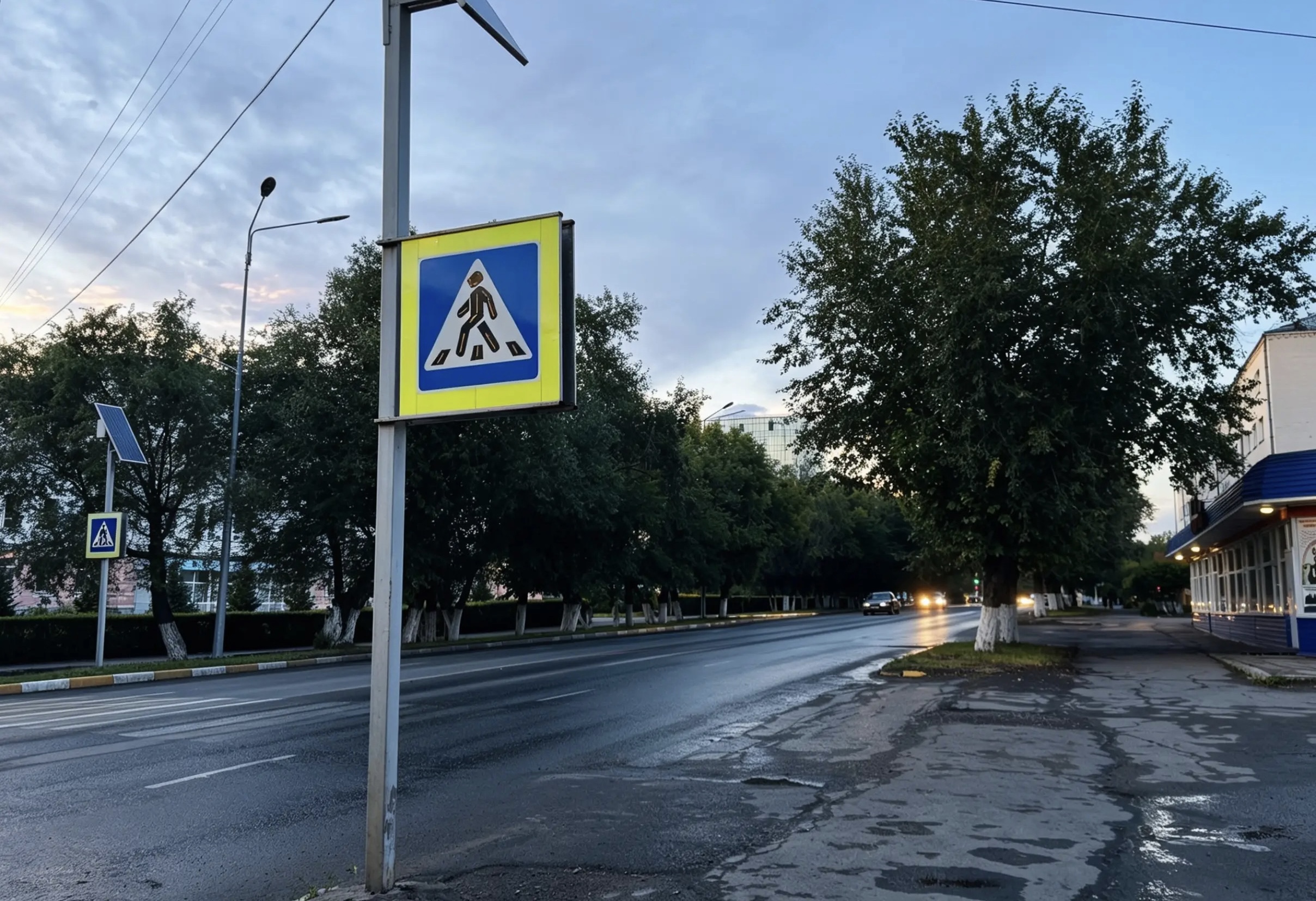 Фото: Елизавета Ахманова